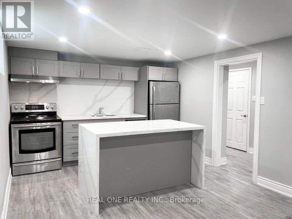Basement - 99 Warren Avenue, Hamilton, Ontario  L9A 3C7 - Photo 3 - X12462892