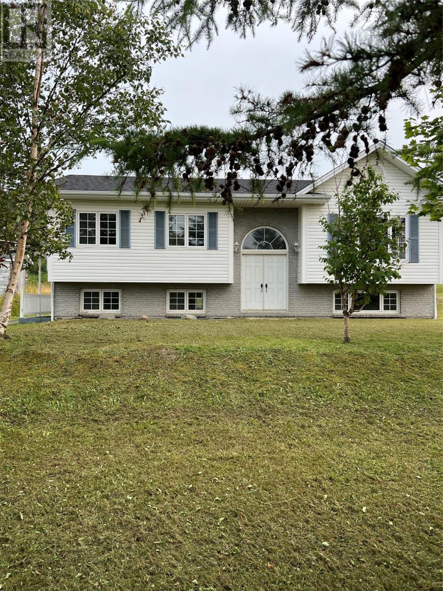 32 Park Road, Mcivers, Newfoundland & Labrador  A2H 8E9 - Photo 1 - 1291133