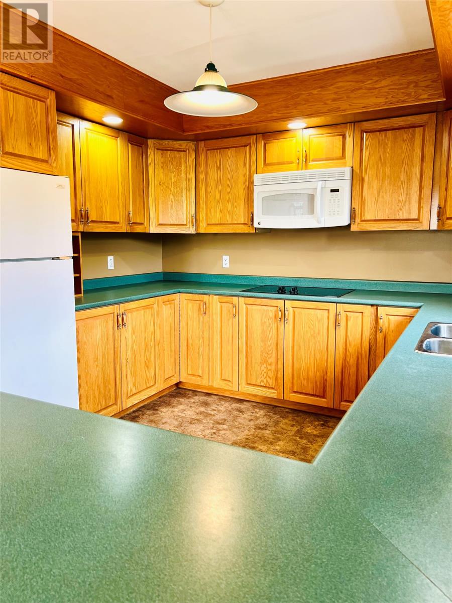 32 Park Road, Mcivers, Newfoundland & Labrador  A2H 8E9 - Photo 7 - 1291133