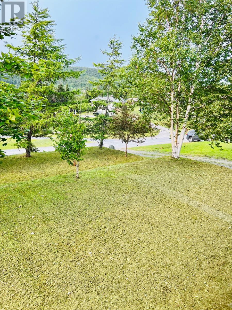 32 Park Road, Mcivers, Newfoundland & Labrador  A2H 8E9 - Photo 4 - 1291133