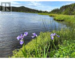 0 Farm Pond Road, Port Rexton, Newfoundland & Labrador