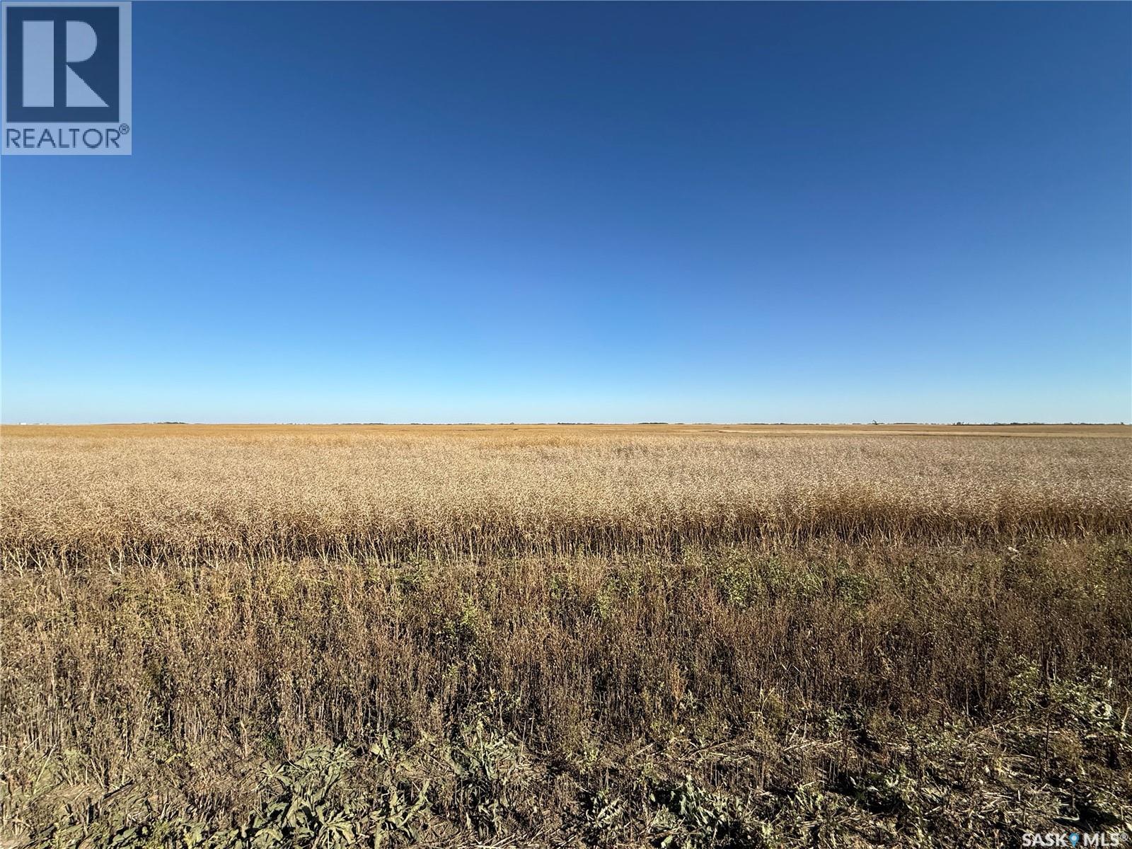 1720 Acres Farmland In Rm Browning, Lampman, Saskatchewan  S0C 1N0 - Photo 21 - SK020732