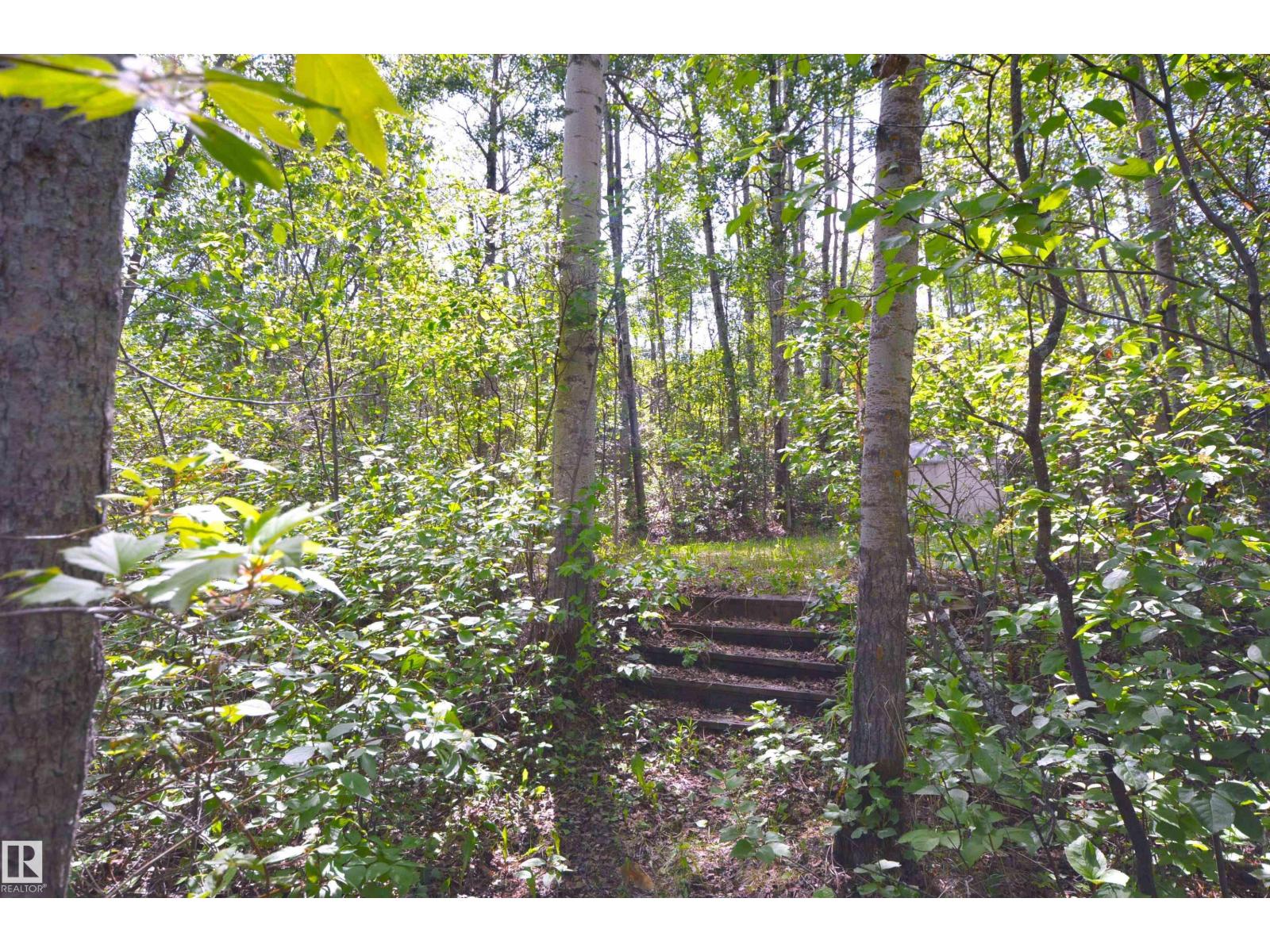 10 45302 Twp Rd 593a, Rural Bonnyville M.d., Alberta  T9N 2G9 - Photo 57 - E4440105