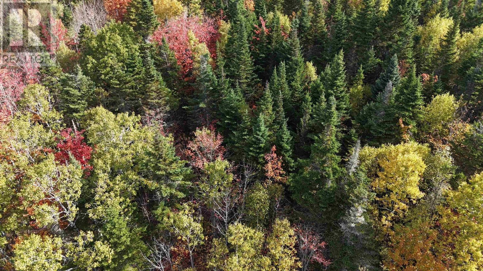 Lot Chesley Road, Barss Corner, Nova Scotia  B0R 1A0 - Photo 3 - 202525857