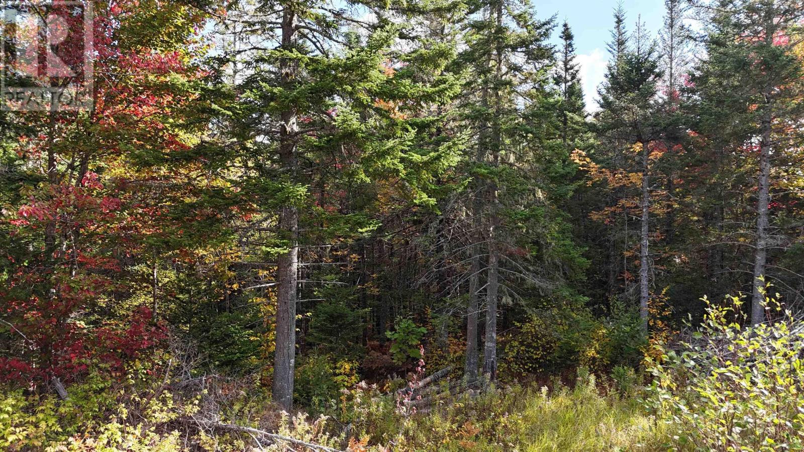 Lot Chesley Road, Barss Corner, Nova Scotia  B0R 1A0 - Photo 9 - 202525857