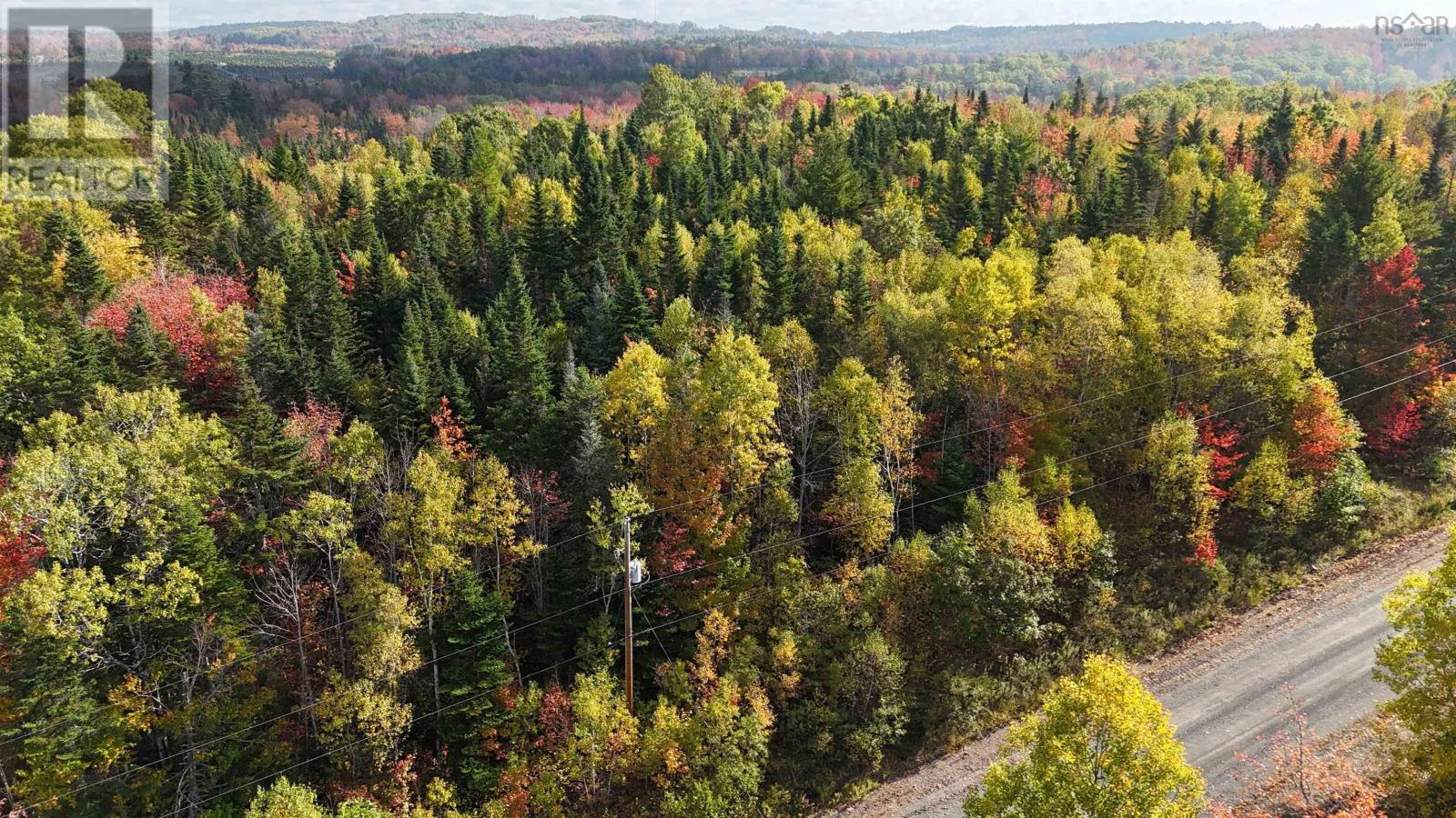 Lot Chesley Road, Barss Corner, Nova Scotia  B0R 1A0 - Photo 13 - 202525857