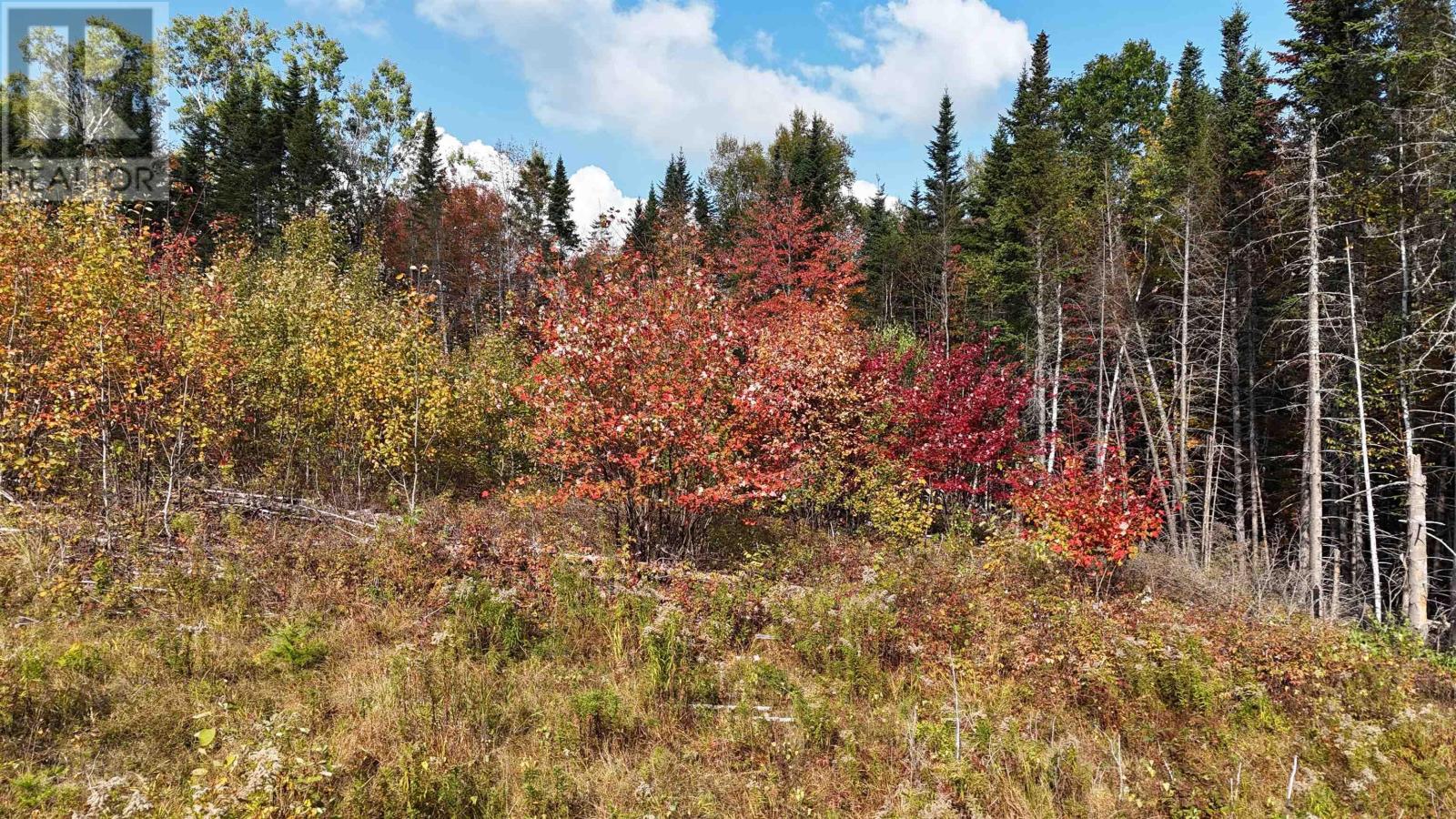 Lot Chesley Road, Barss Corner, Nova Scotia  B0R 1A0 - Photo 4 - 202525857