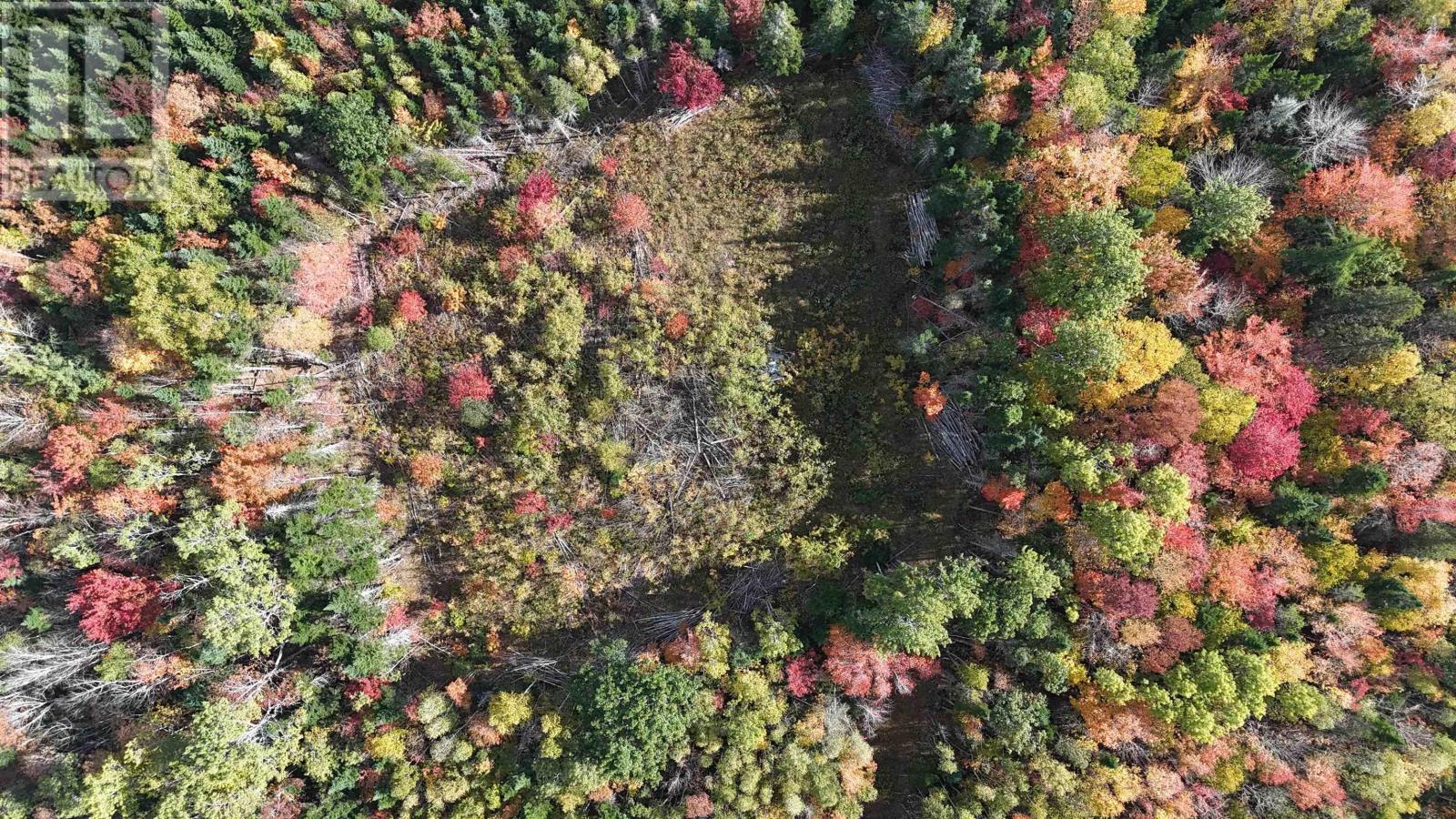 Lot Chesley Road, Barss Corner, Nova Scotia  B0R 1A0 - Photo 17 - 202525857