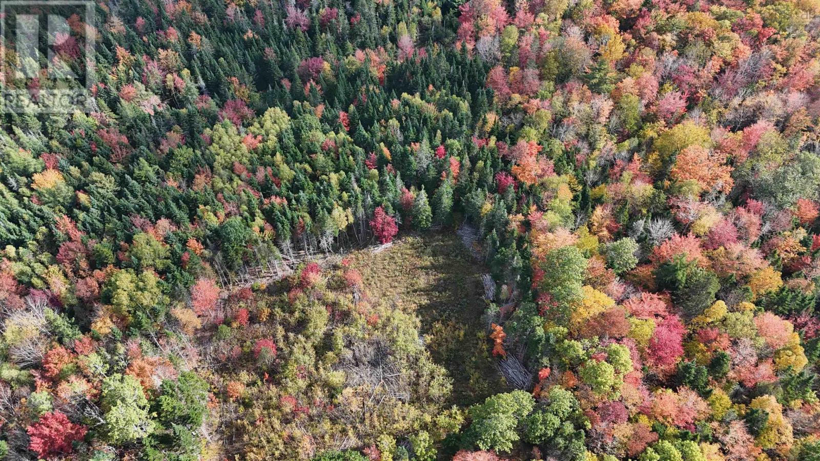 Lot Chesley Road, Barss Corner, Nova Scotia  B0R 1A0 - Photo 18 - 202525857
