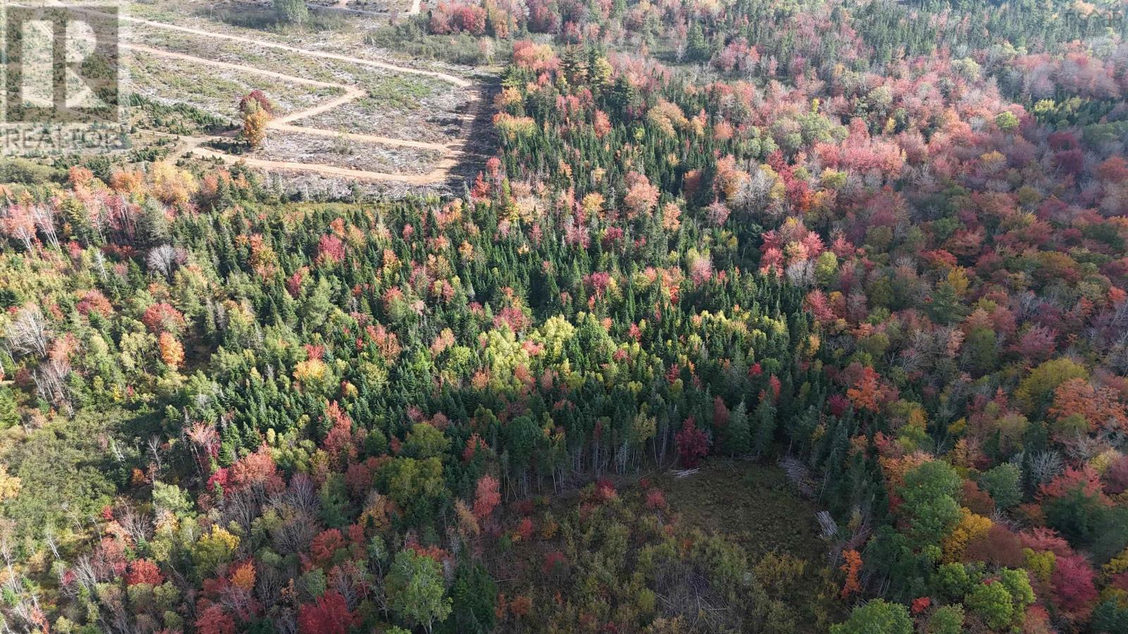 Lot Chesley Road, Barss Corner, Nova Scotia  B0R 1A0 - Photo 15 - 202525857