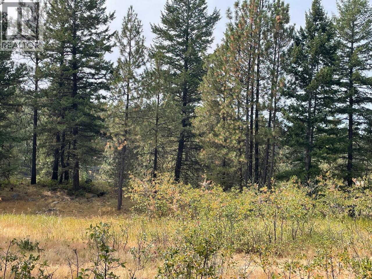 Osoyoos Rural Other for sale:    (Listed 2025-10-15)