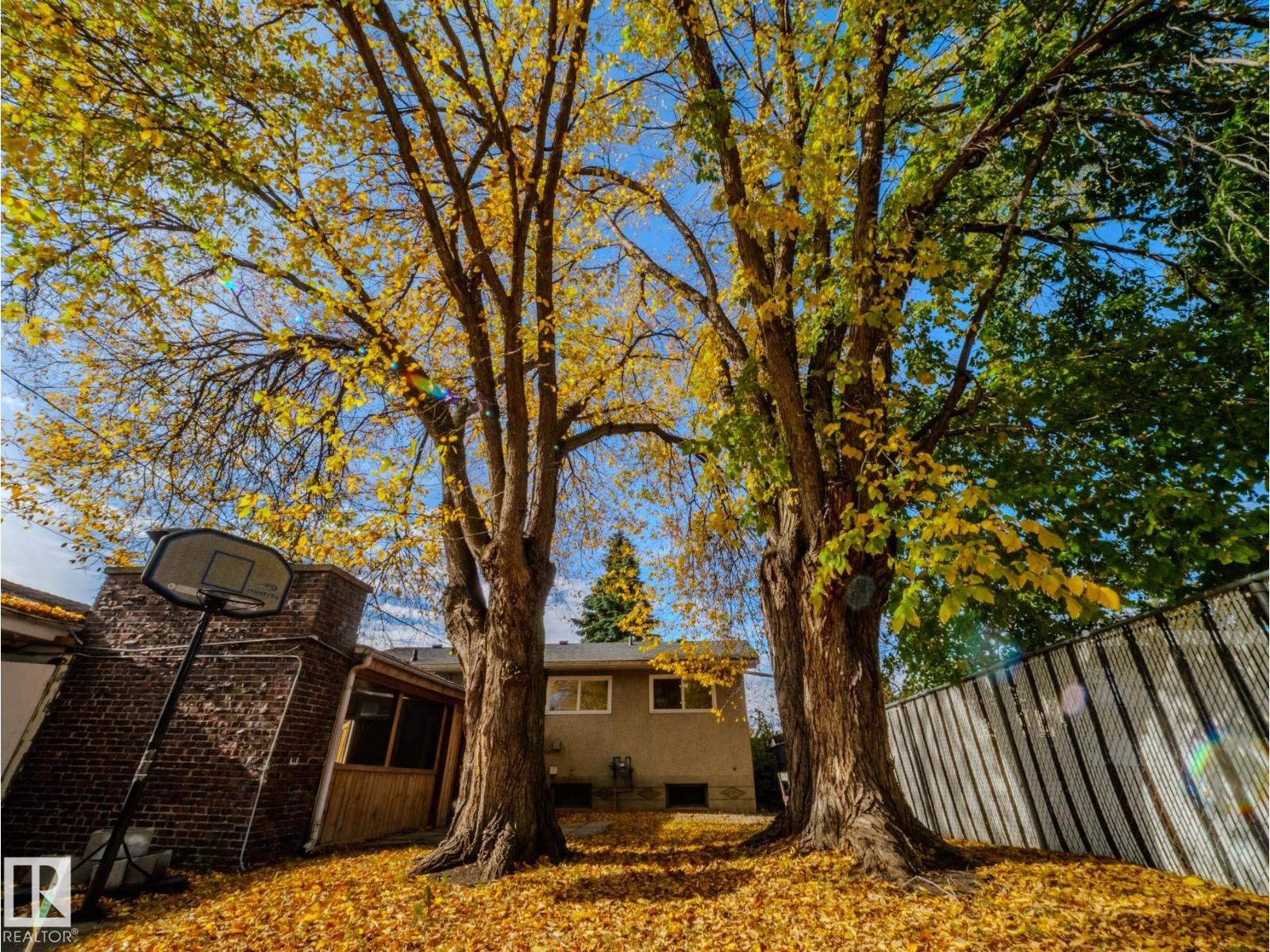 8111 159 St Nw, Edmonton, Alberta  T5R 2E5 - Photo 57 - E4462136