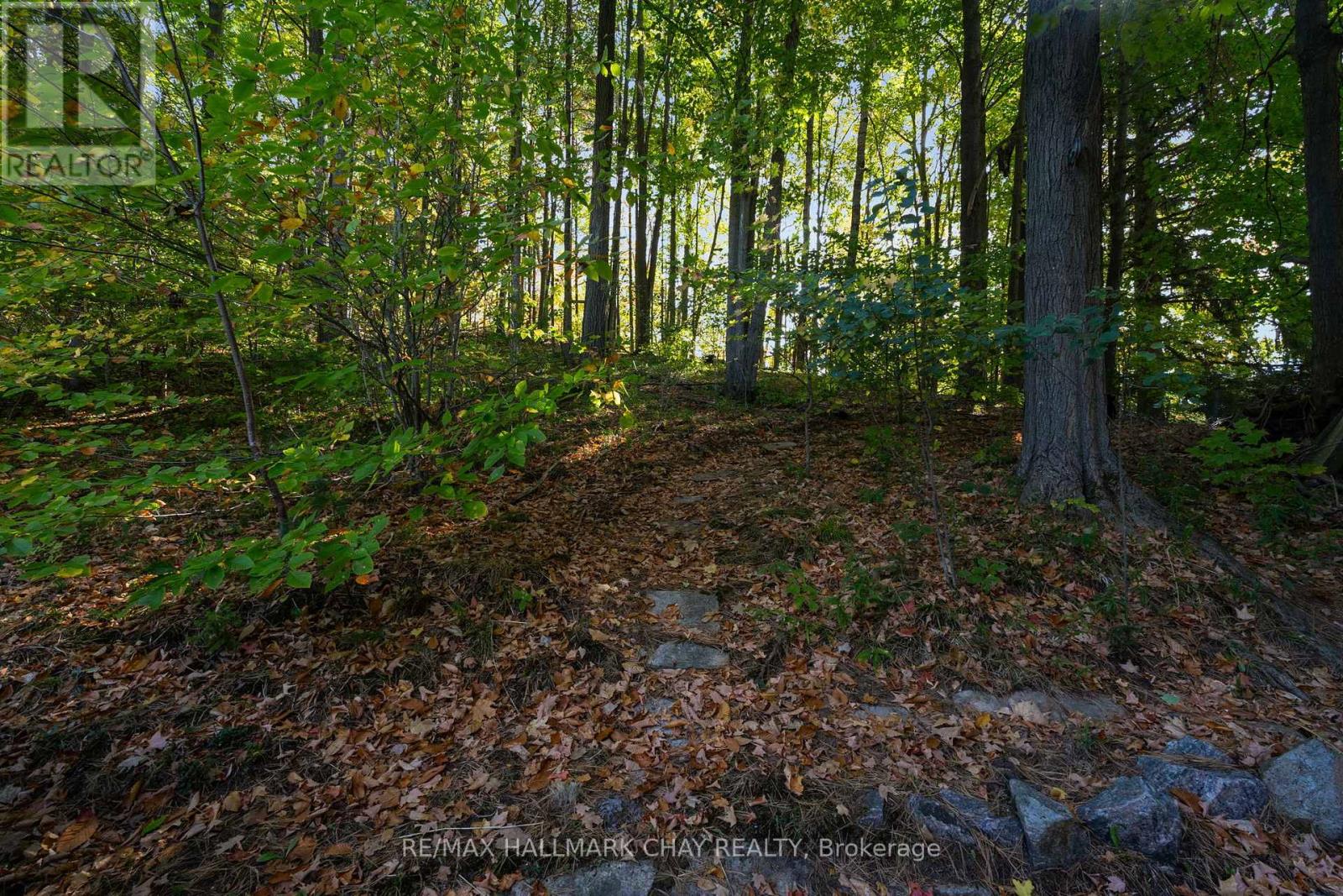 53 Doran Road, Springwater, Ontario  L0L 1X0 - Photo 35 - S12463126