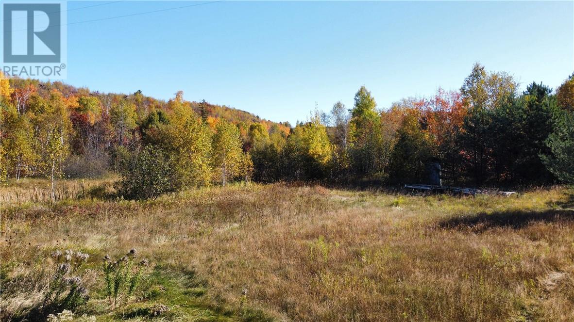 2632 Niemi Drive, Greater Sudbury, Ontario  P3G 1J9 - Photo 3 - 2125231