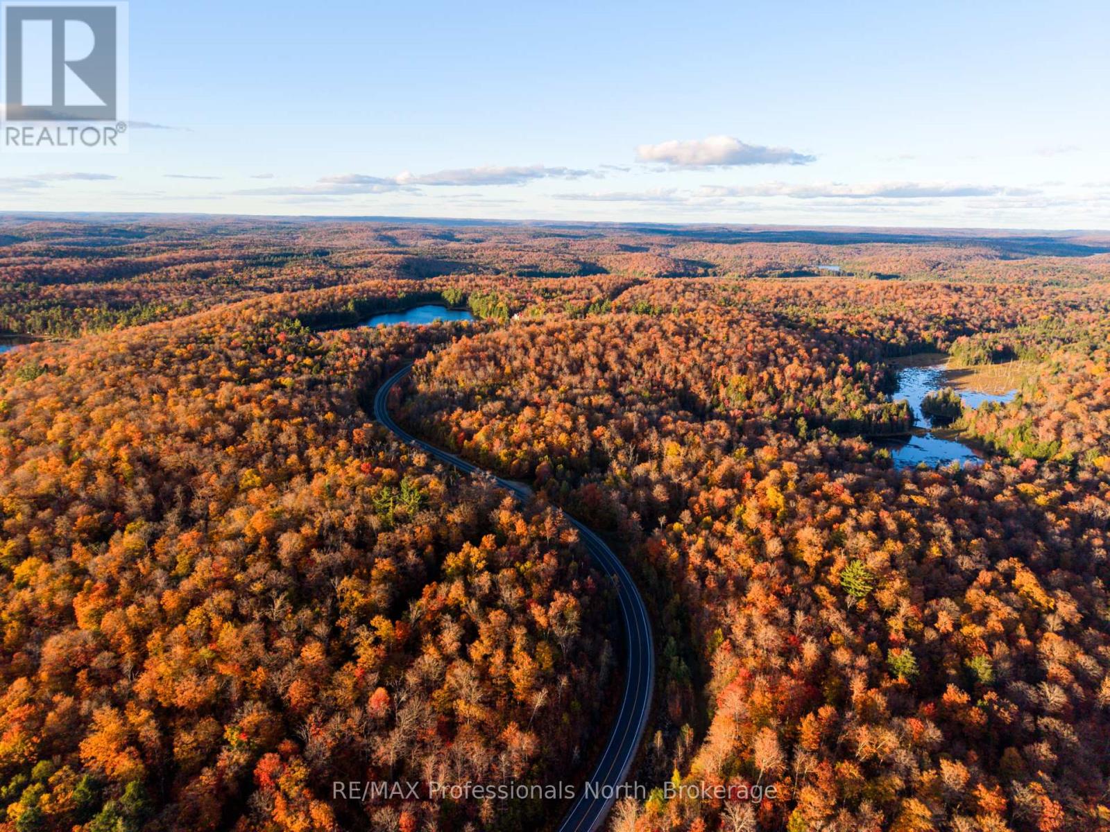 2594 Livingstone Lake Road, Algonquin Highlands, Ontario  P0A 1E0 - Photo 11 - X12463393