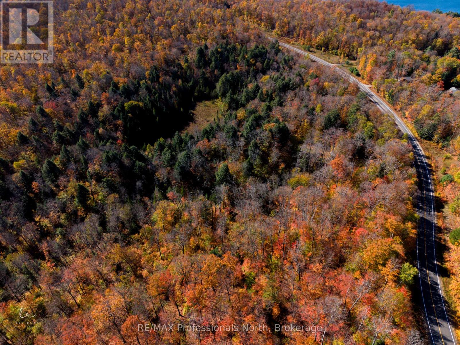 2594 Livingstone Lake Road, Algonquin Highlands, Ontario  P0A 1E0 - Photo 12 - X12463393
