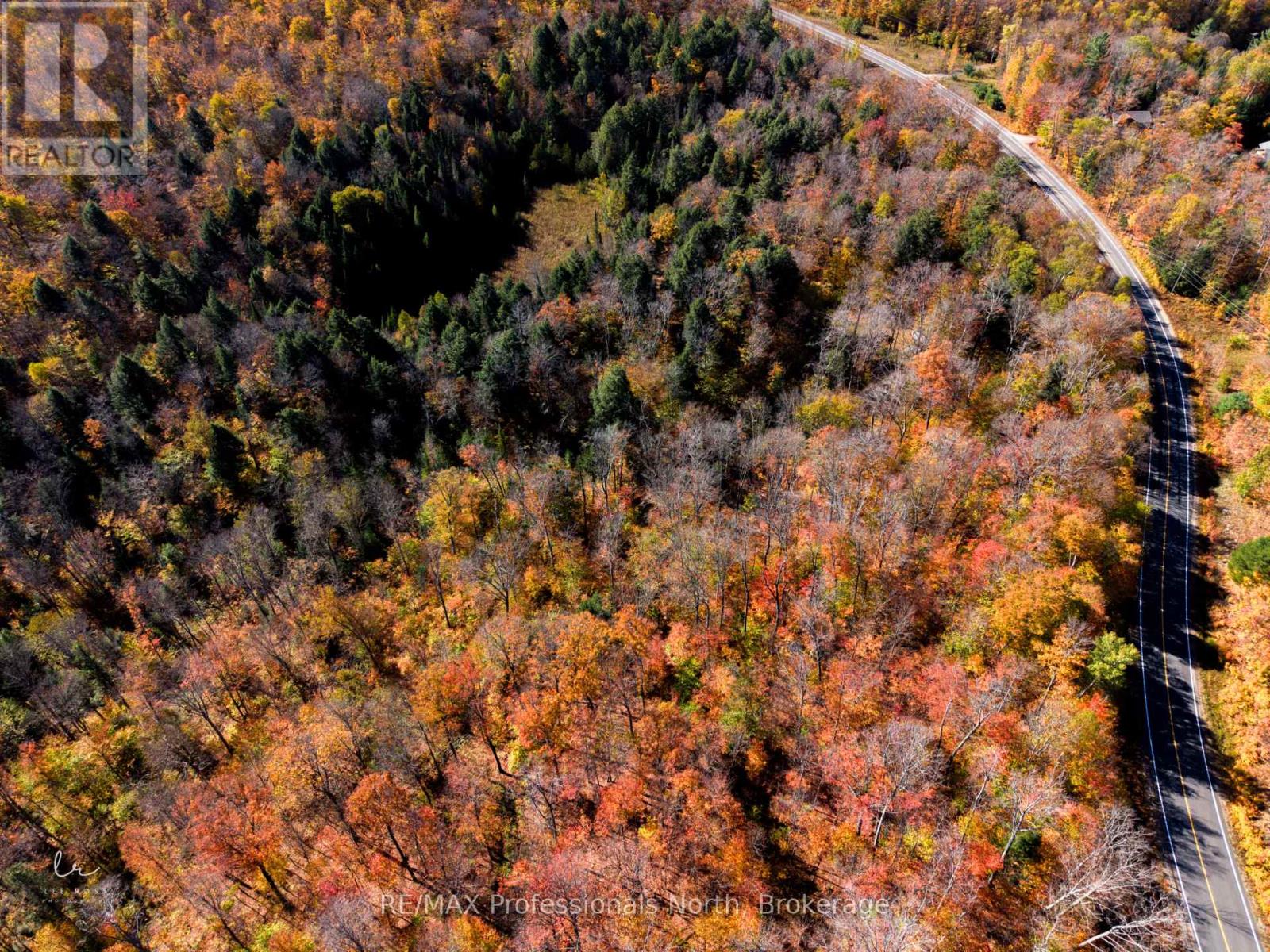 2594 Livingstone Lake Road, Algonquin Highlands, Ontario  P0A 1E0 - Photo 13 - X12463393