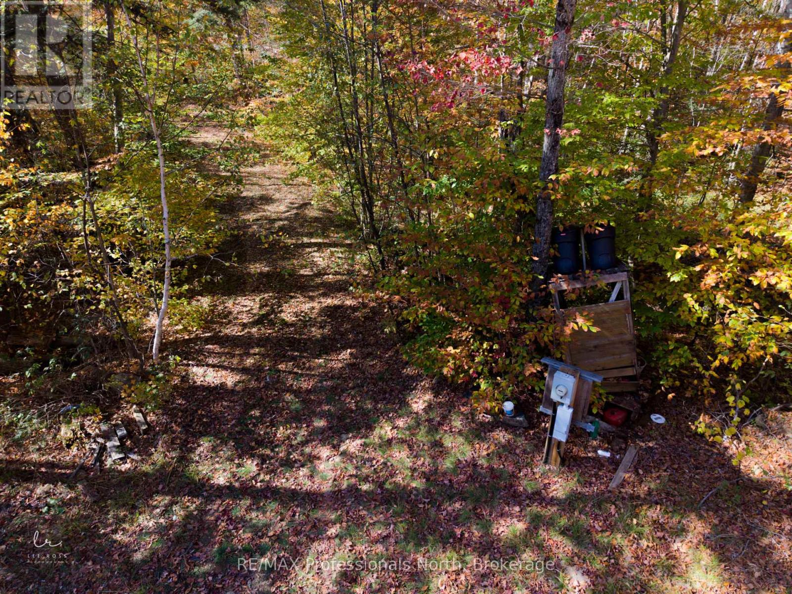 2594 Livingstone Lake Road, Algonquin Highlands, Ontario  P0A 1E0 - Photo 17 - X12463393