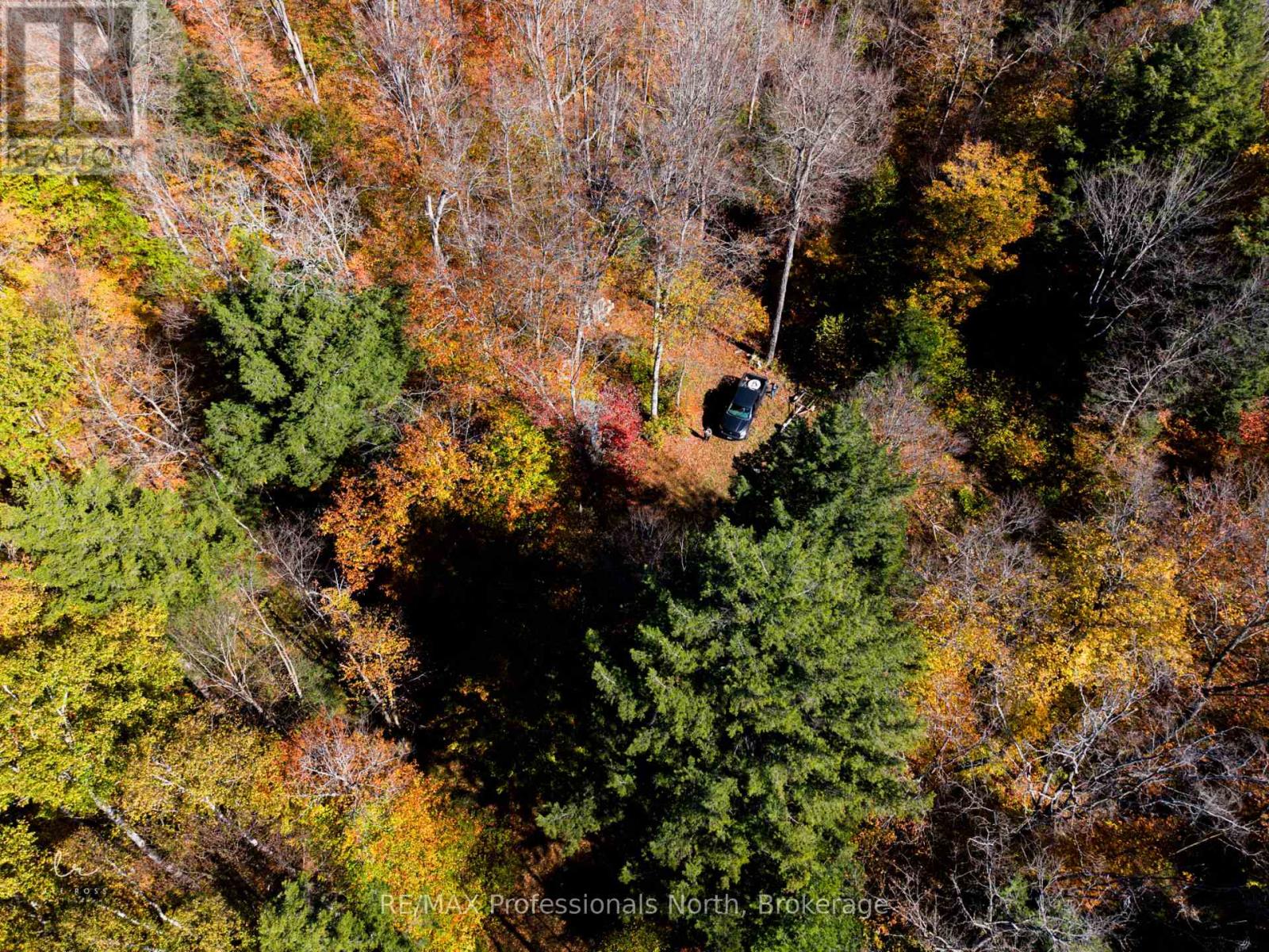 2594 Livingstone Lake Road, Algonquin Highlands, Ontario  P0A 1E0 - Photo 18 - X12463393