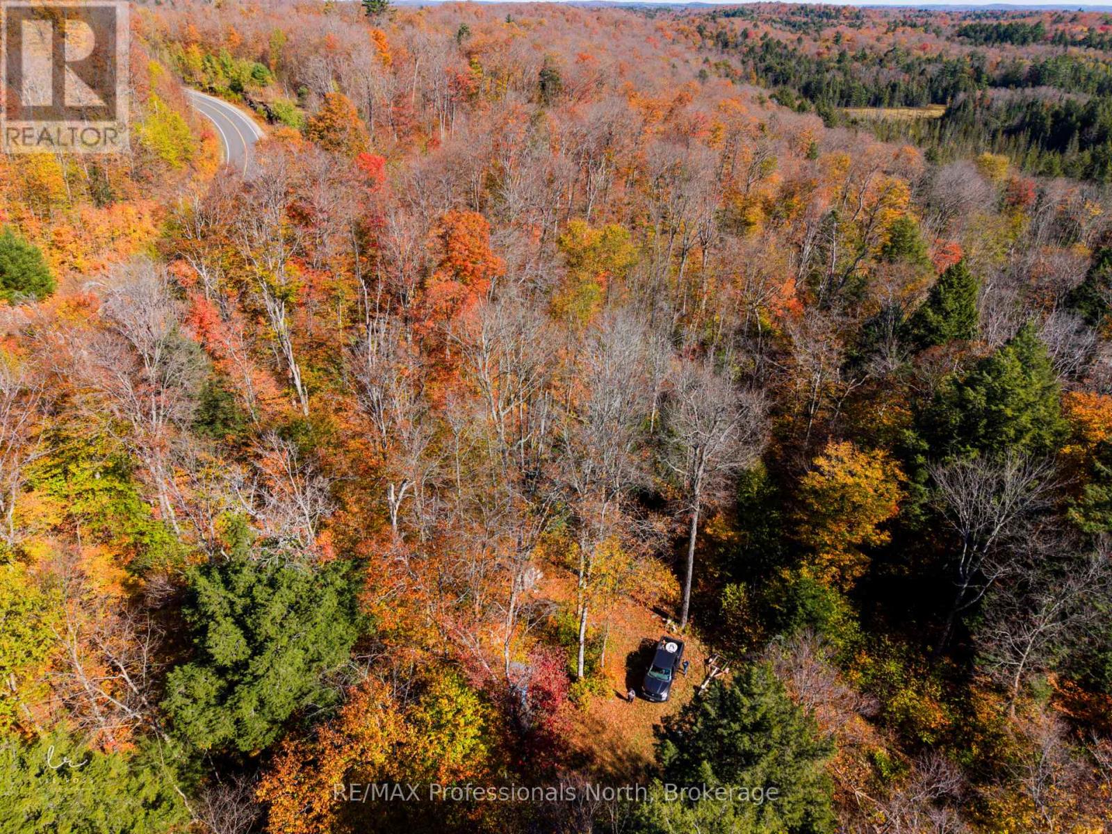 2594 Livingstone Lake Road, Algonquin Highlands, Ontario  P0A 1E0 - Photo 19 - X12463393