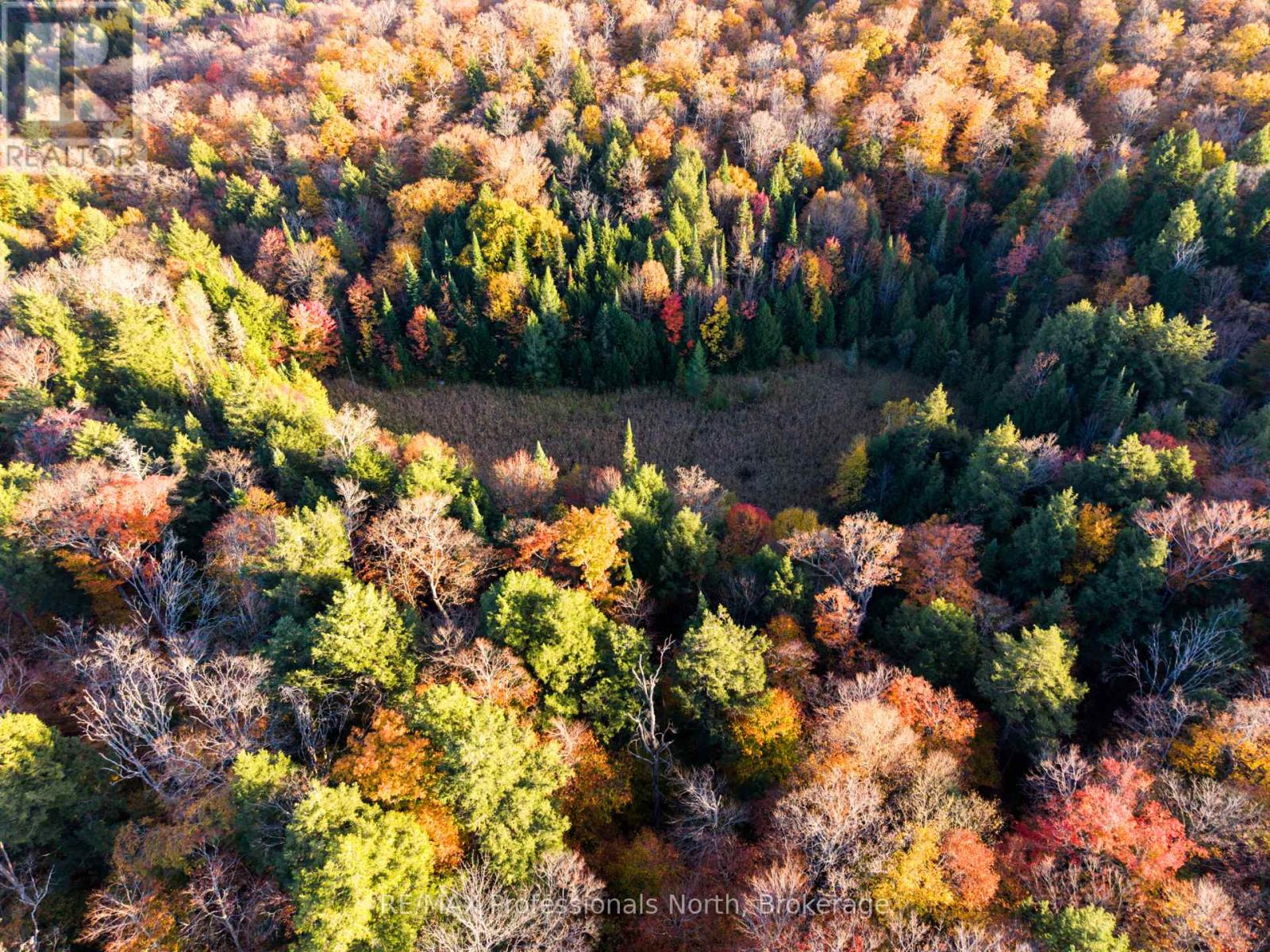 2594 Livingstone Lake Road, Algonquin Highlands, Ontario  P0A 1E0 - Photo 2 - X12463393
