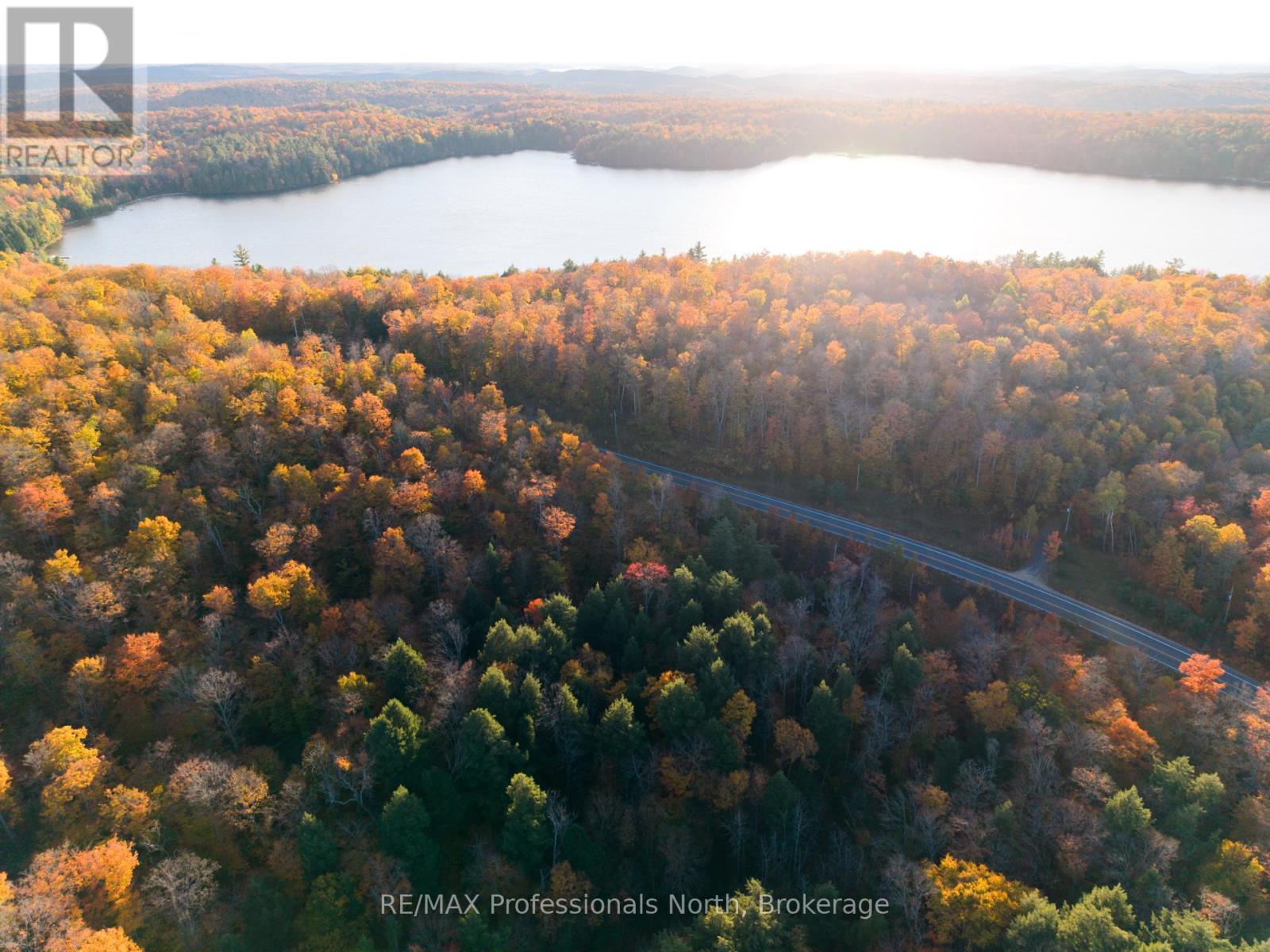 2594 Livingstone Lake Road, Algonquin Highlands, Ontario  P0A 1E0 - Photo 6 - X12463393