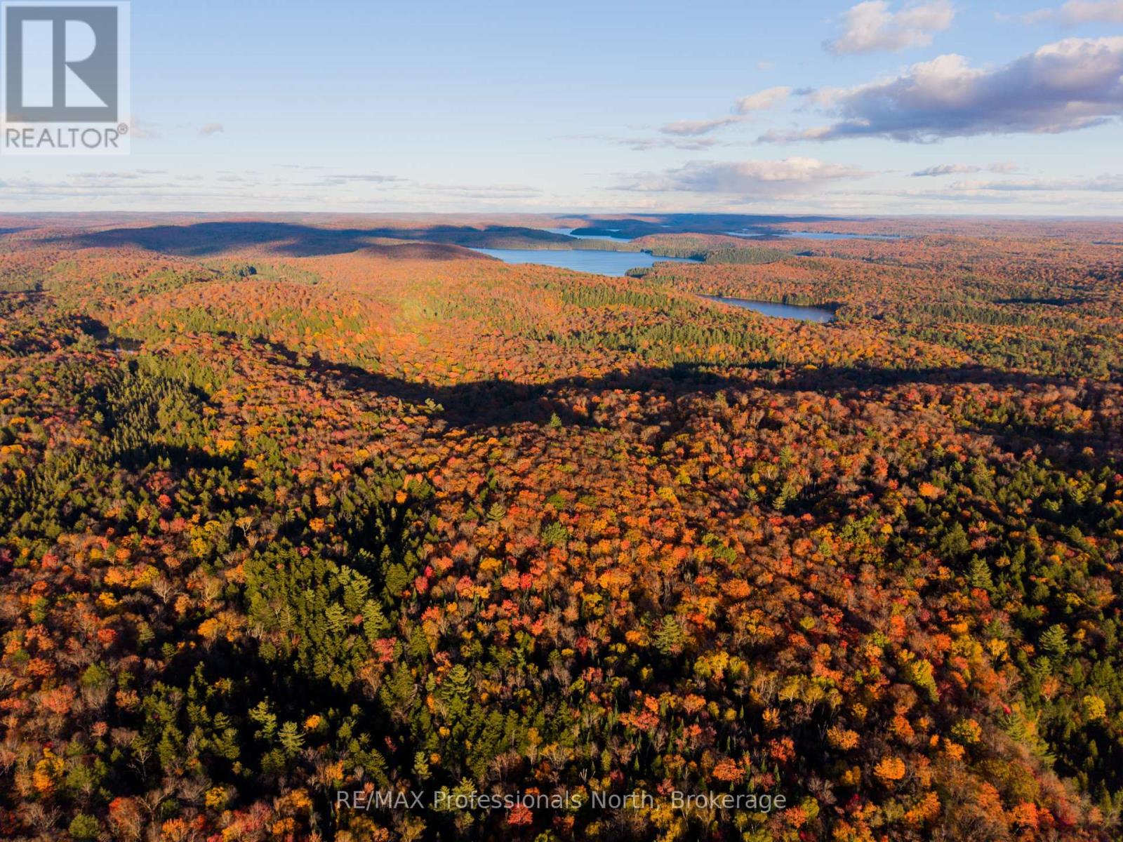 2594 Livingstone Lake Road, Algonquin Highlands, Ontario  P0A 1E0 - Photo 7 - X12463393