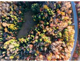 2594 LIVINGSTONE LAKE ROAD, algonquin highlands (mcclintock), Ontario