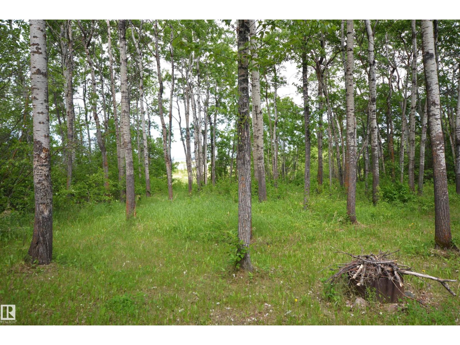 6 45302 Twp Rd 593a, Rural Bonnyville M.d., Alberta  T9N 2G9 - Photo 36 - E4440271