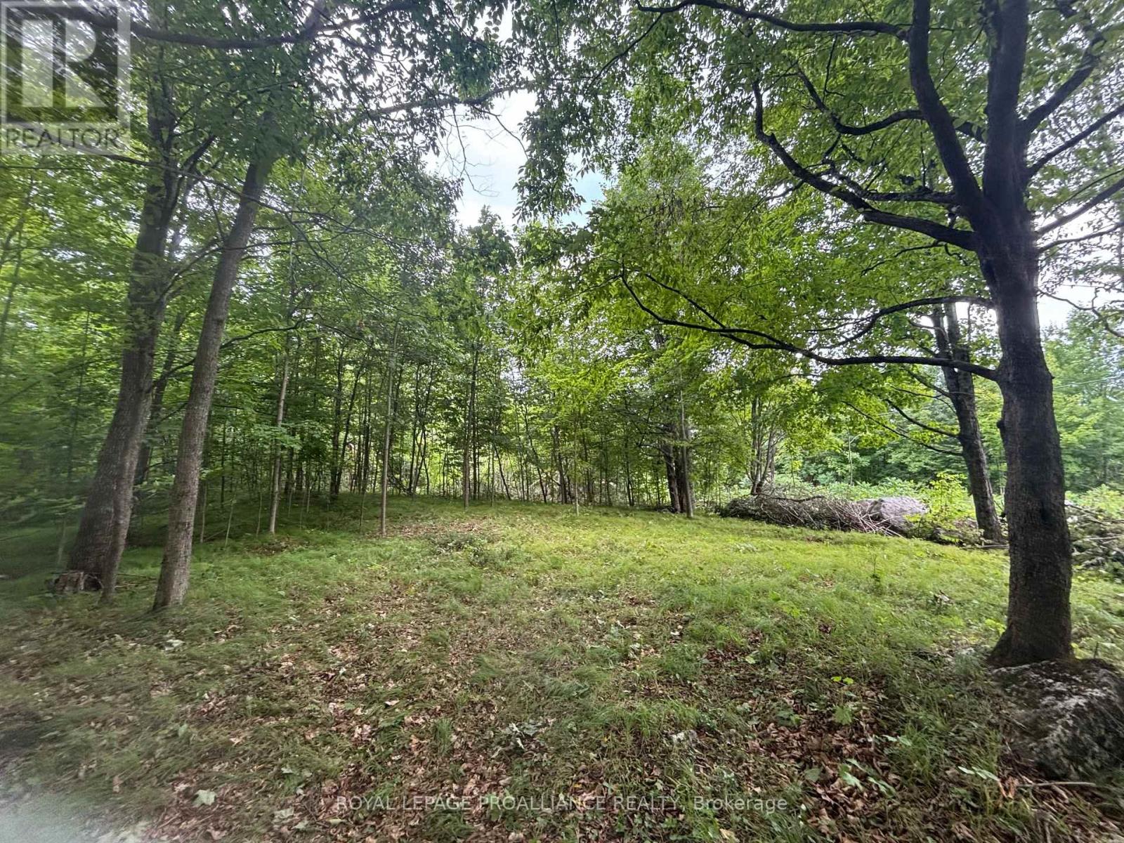 Severed B - 554 Pigden Road, Madoc, Ontario  K0K 2K0 - Photo 6 - X12463351