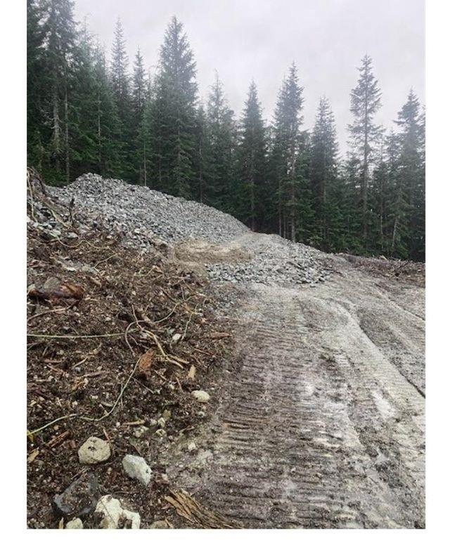 20579 Edelweiss Drive, Mission, British Columbia  V2R 5P5 - Photo 9 - R2846678