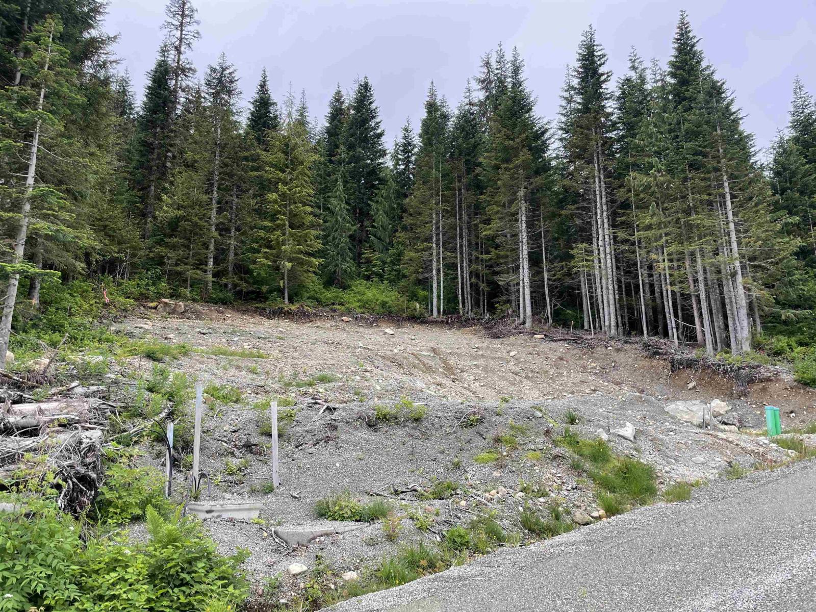 20689 Edelweiss Drive, Mission, British Columbia  V0M 1A1 - Photo 7 - R3017096