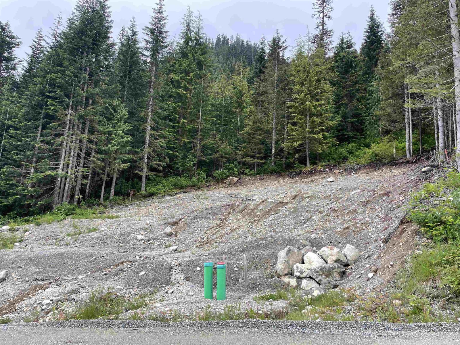 20689 Edelweiss Drive, Mission, British Columbia  V0M 1A1 - Photo 9 - R3017096