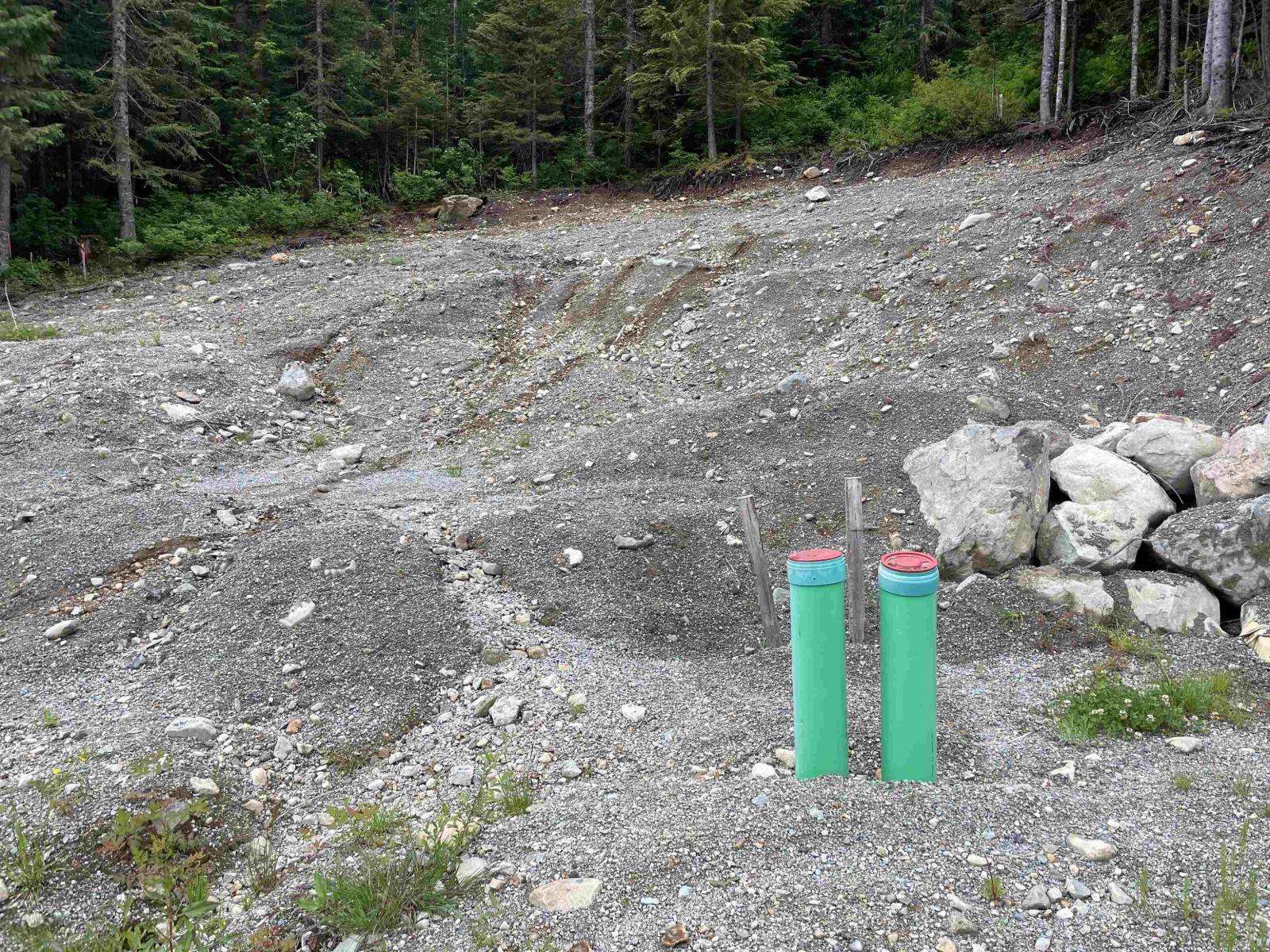 20689 Edelweiss Drive, Mission, British Columbia  V0M 1A1 - Photo 10 - R3017096