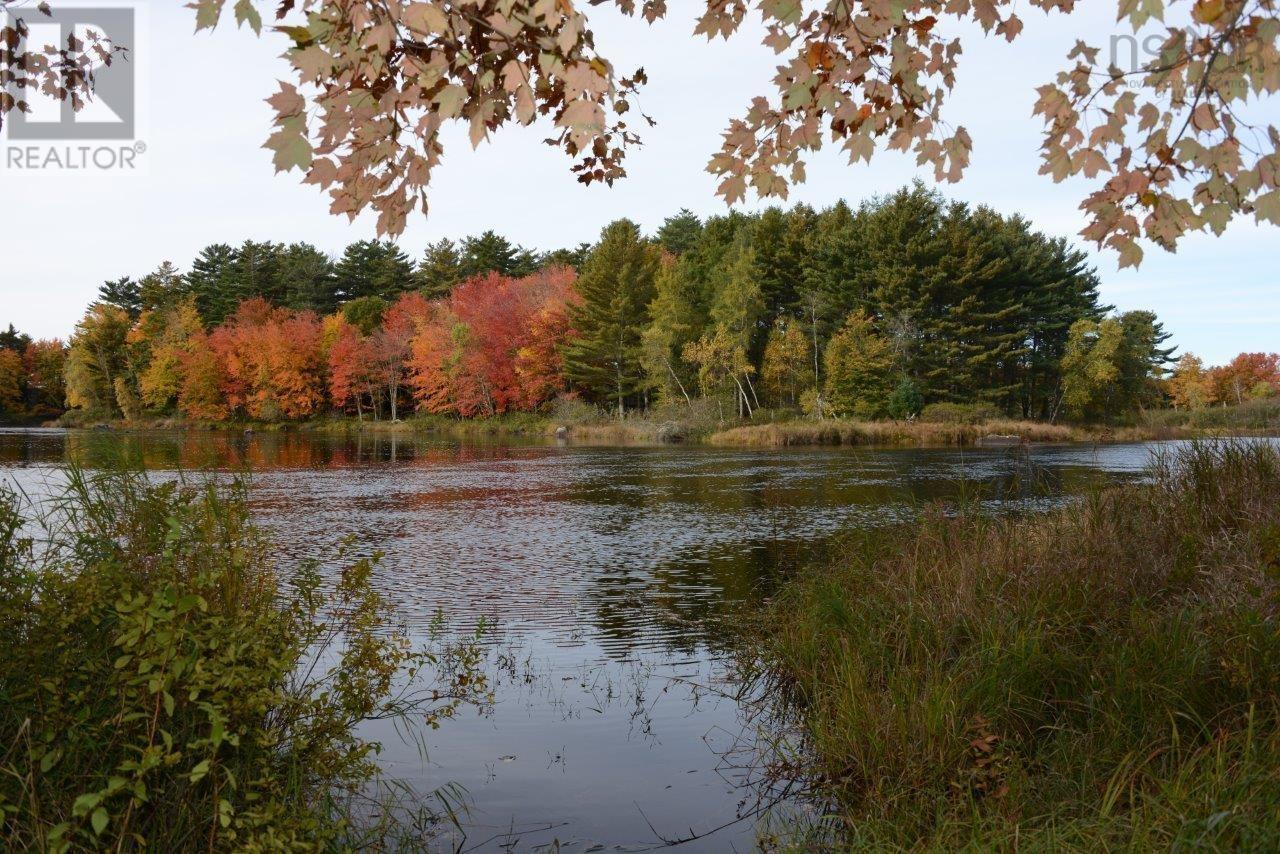 Lots Pid#70107644 Medway River Road, Riversdale, Nova Scotia  B0J 2H0 - Photo 10 - 202525863