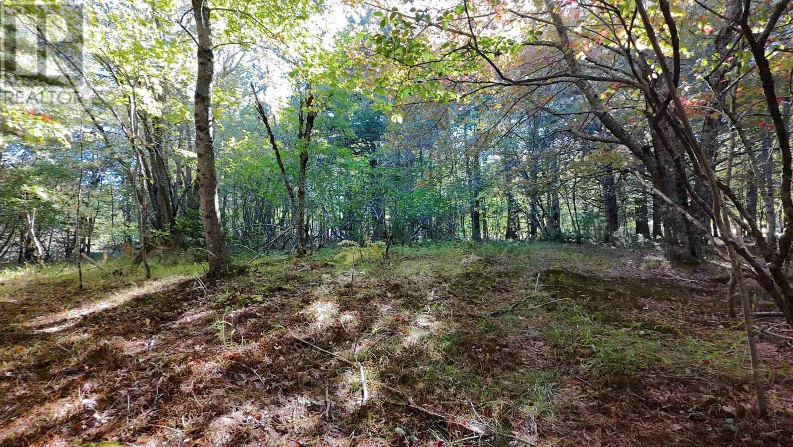 Lots Pid#70107644 Medway River Road, Riversdale, Nova Scotia  B0J 2H0 - Photo 18 - 202525863