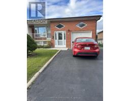 BASEMENT - 66 BUTTON ROAD, Vaughan, Ontario