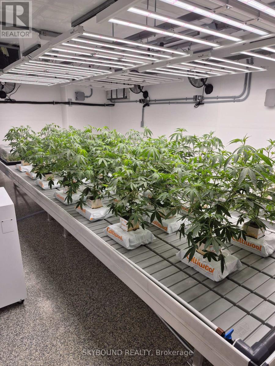 31 Clearview Drive, Tillsonburg, Ontario  N4G 4H3 - Photo 11 - X12463369