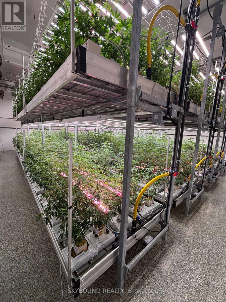 31 Clearview Drive, Tillsonburg, Ontario  N4G 4H3 - Photo 13 - X12463369