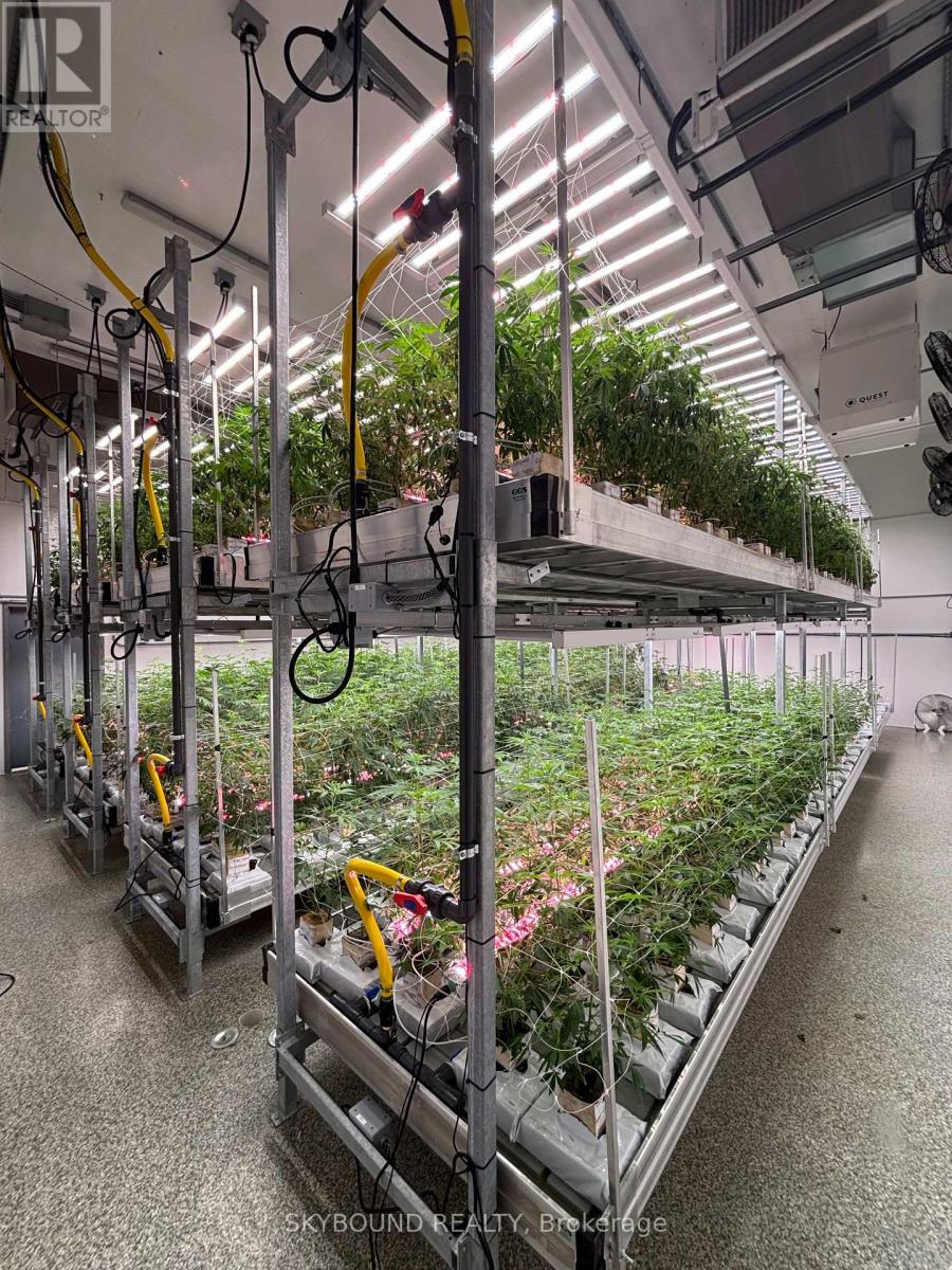 31 Clearview Drive, Tillsonburg, Ontario  N4G 4H3 - Photo 14 - X12463369