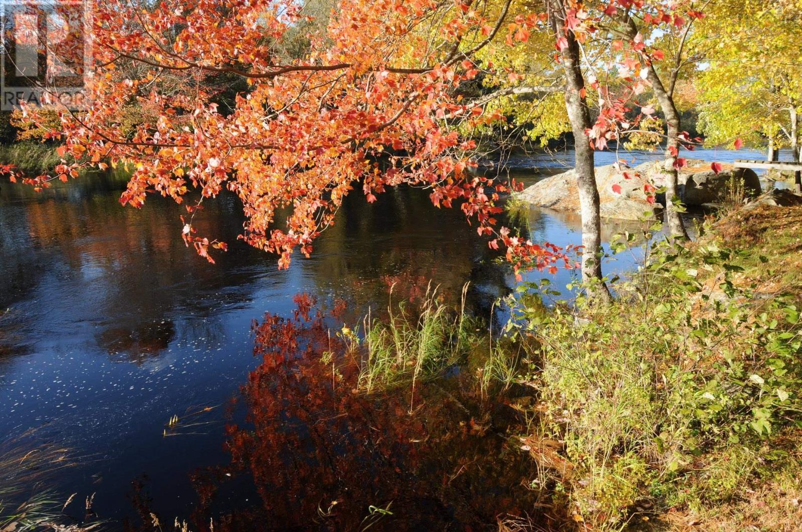 Lots Pid#70107644 Medway River Road, Riversdale, Nova Scotia  B0J 2H0 - Photo 6 - 202525863