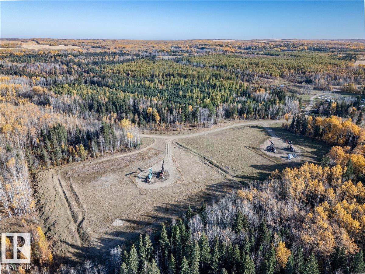47308 Rge Rd 22, Rural Leduc County, Alberta  T0C 2V0 - Photo 27 - E4462152
