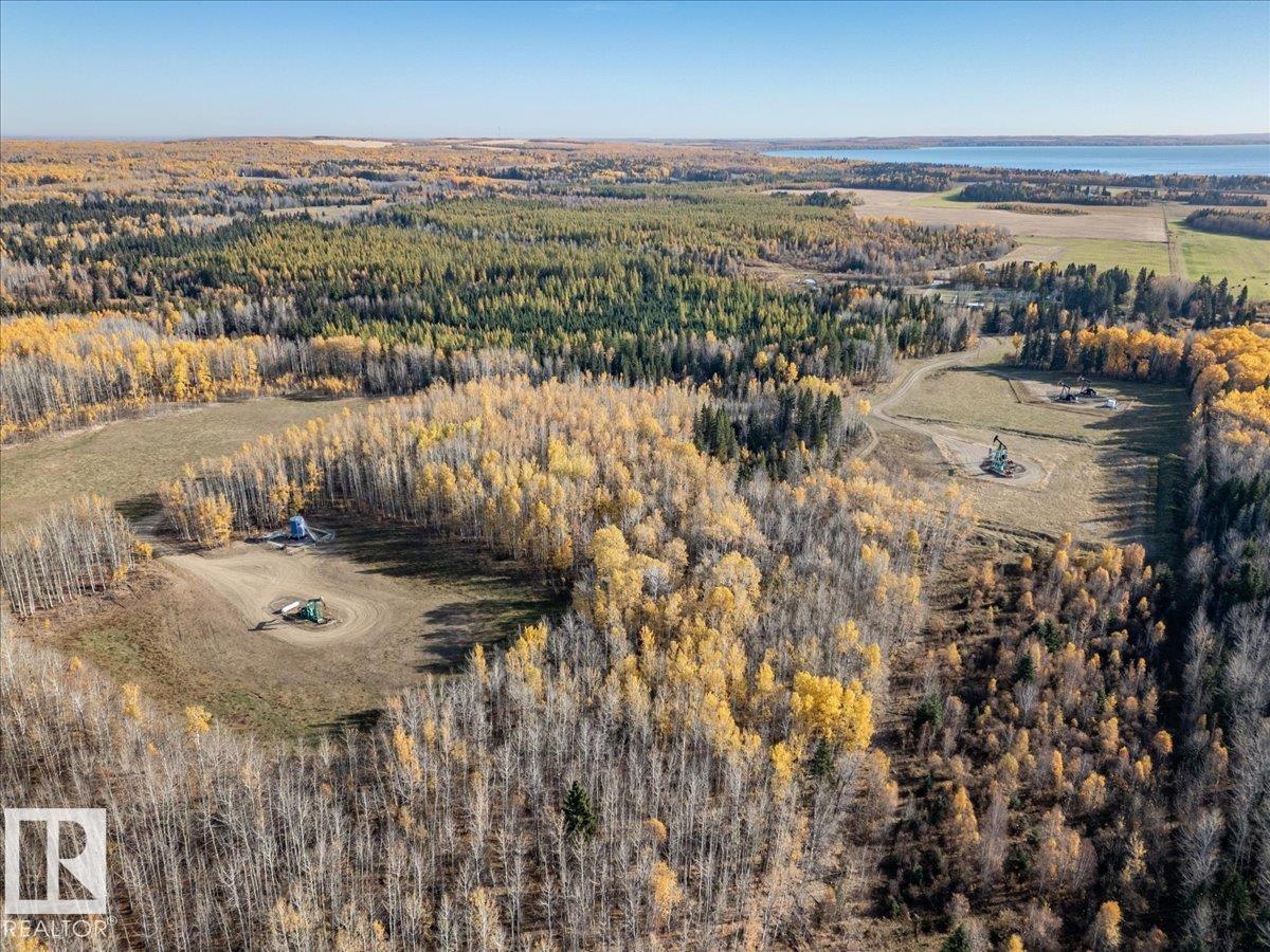 47308 Rge Rd 22, Rural Leduc County, Alberta  T0C 2V0 - Photo 28 - E4462152