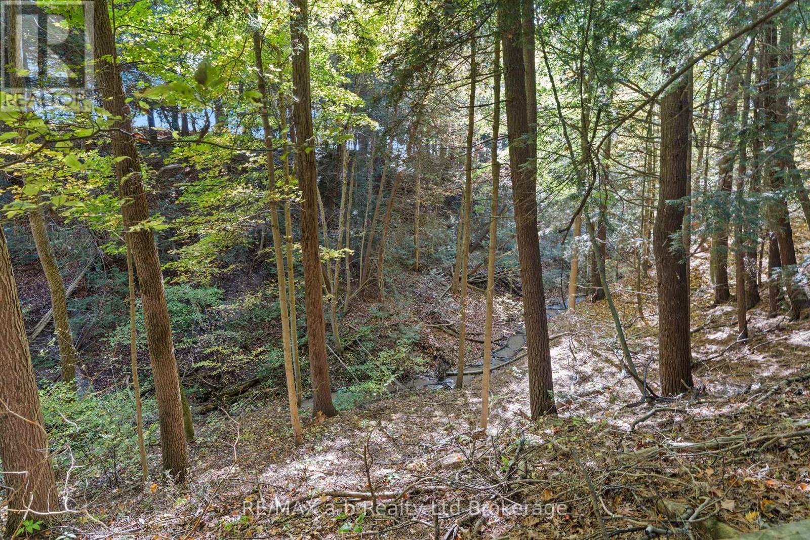 27 Norfolk Street, Norwich, Ontario  N0J 1R0 - Photo 39 - X12463603