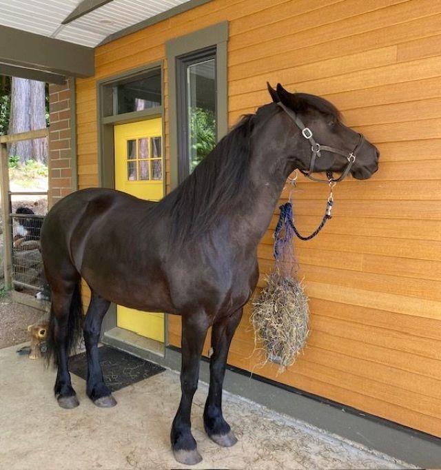 5633 Huston Road, Ryder Lake, Ryder Lake, British Columbia  V4Z 1E5 - Photo 31 - R3058655