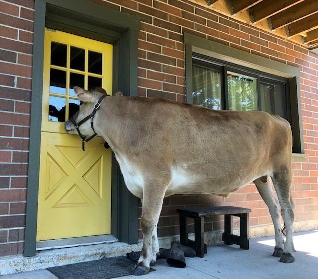 5633 Huston Road, Ryder Lake, Ryder Lake, British Columbia  V4Z 1E5 - Photo 32 - R3058655