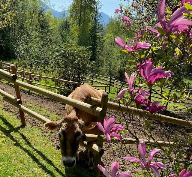 5633 Huston Road, Ryder Lake, Ryder Lake, British Columbia  V4Z 1E5 - Photo 38 - R3058655