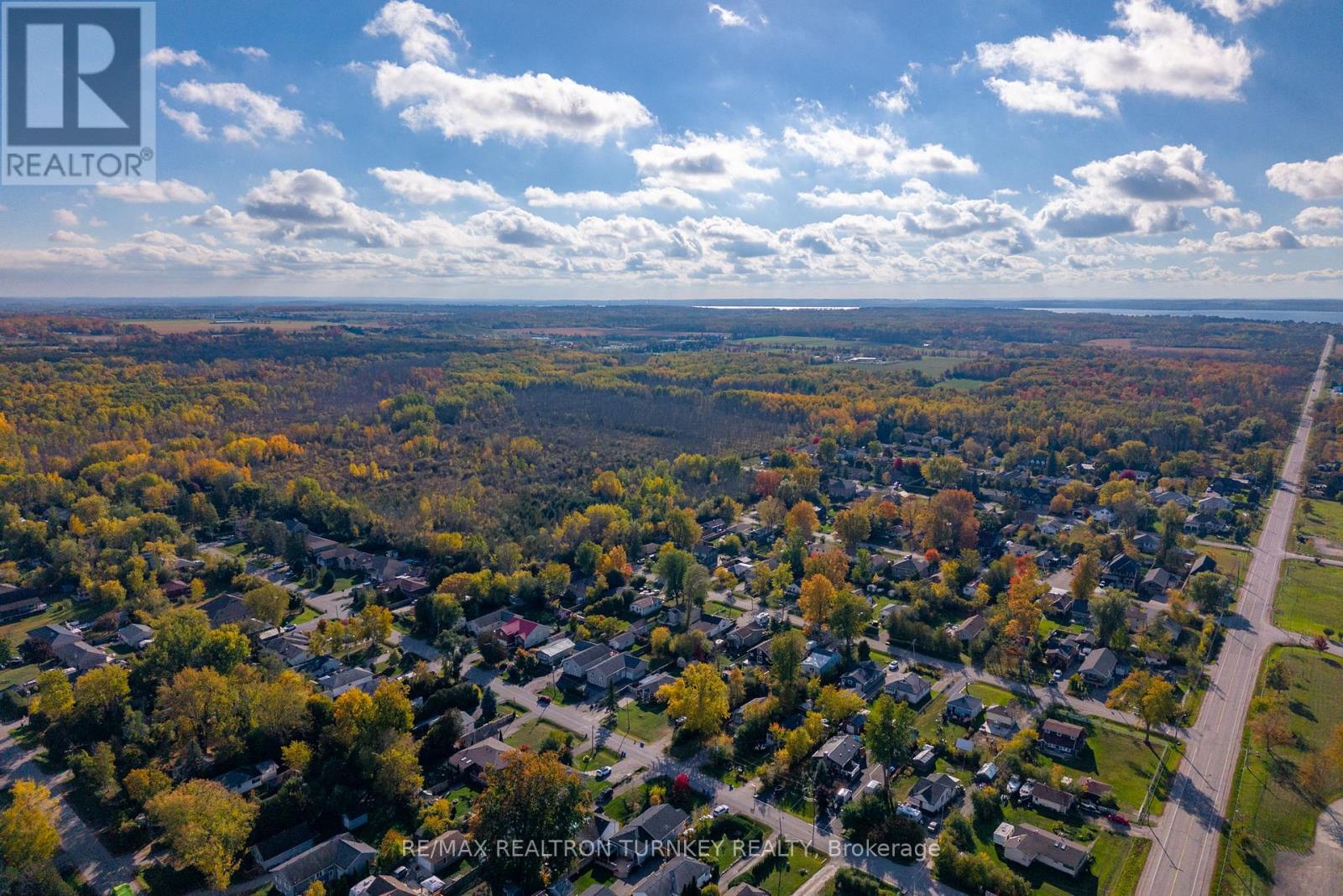 782 Third Avenue, Georgina, Ontario  L0E 1S0 - Photo 47 - N12463480