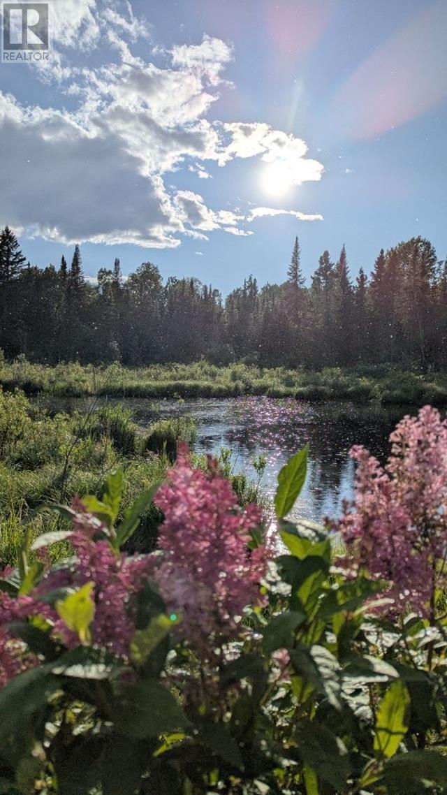 321 Hwy 597, Neebing, Ontario  P7L 0E8 - Photo 49 - TB253053