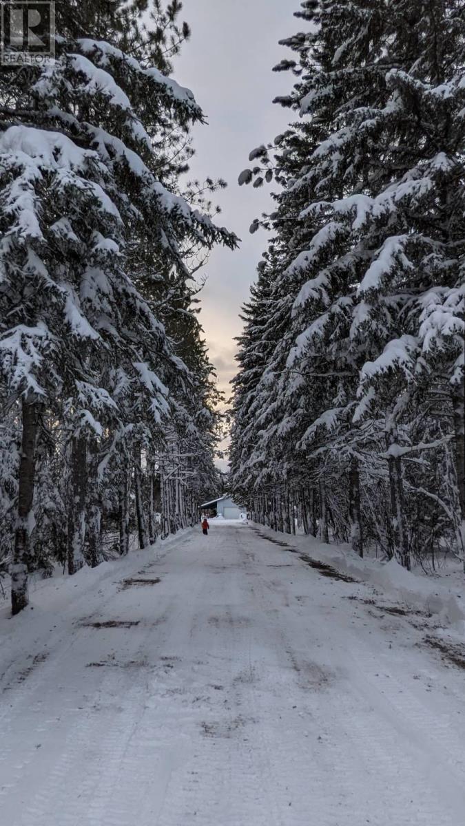 321 Hwy 597, Neebing, Ontario  P7L 0E8 - Photo 50 - TB253053